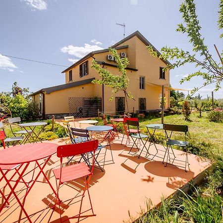 Agriturismo Bio Podere 109 - Wine&Food Alberese Exterior photo
