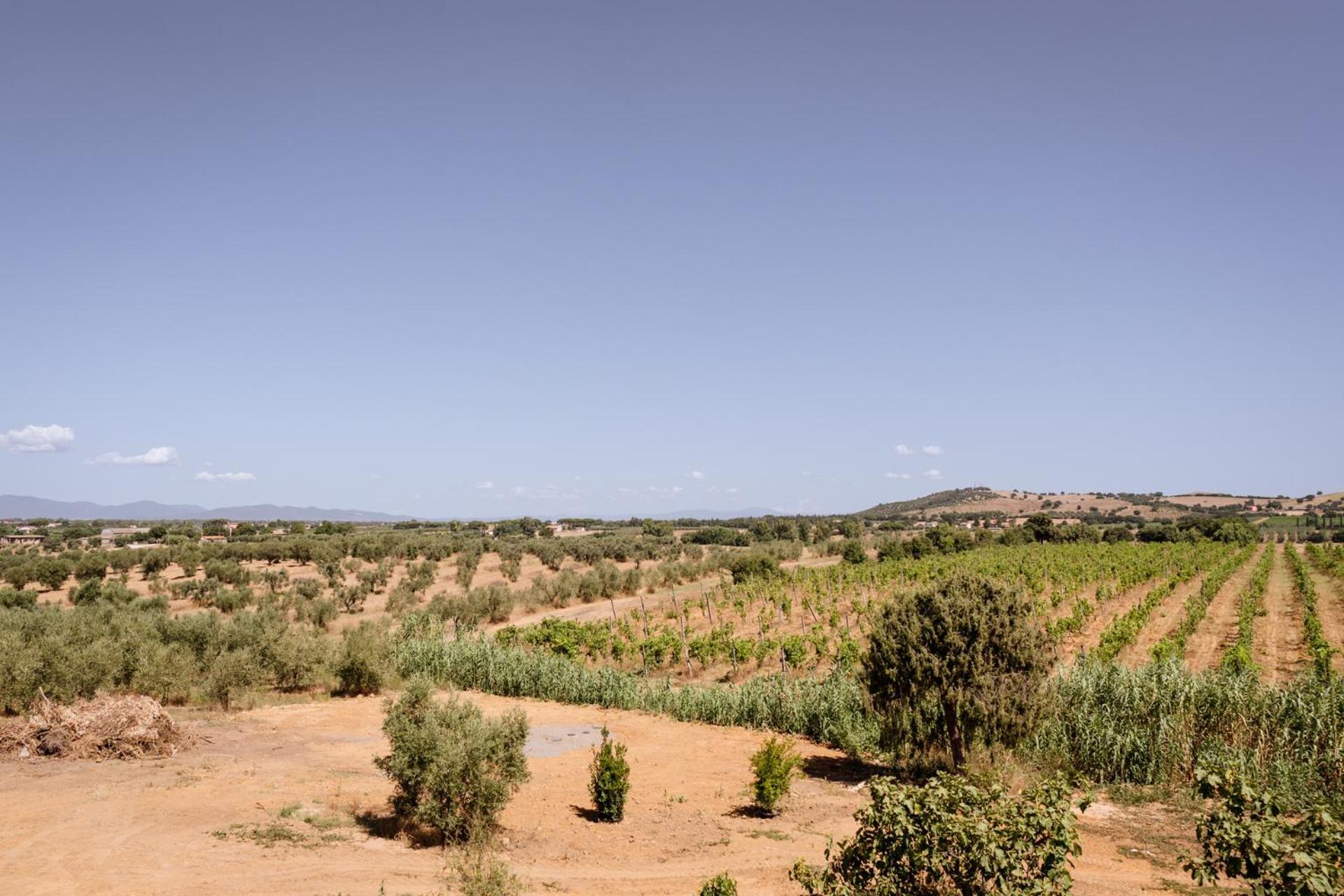 Agriturismo Bio Podere 109 - Wine&Food Alberese Exterior photo