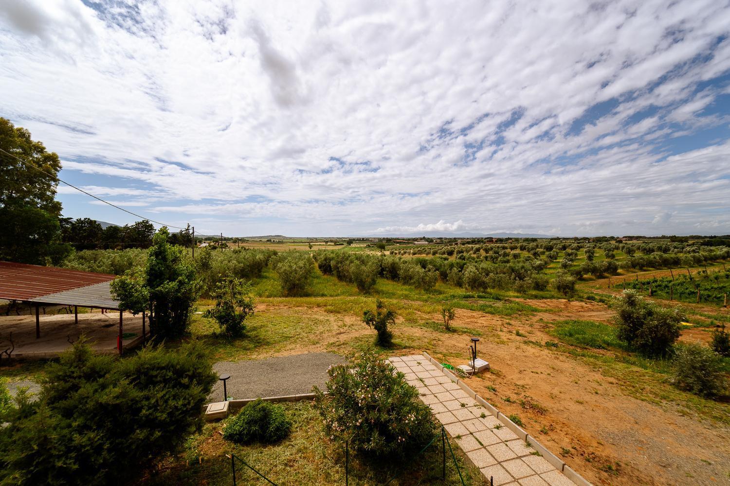 Agriturismo Bio Podere 109 - Wine&Food Alberese Exterior photo